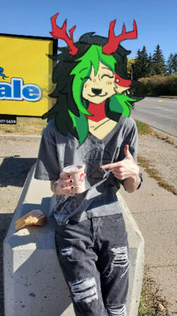 Zeph IRL Zeph IRL
